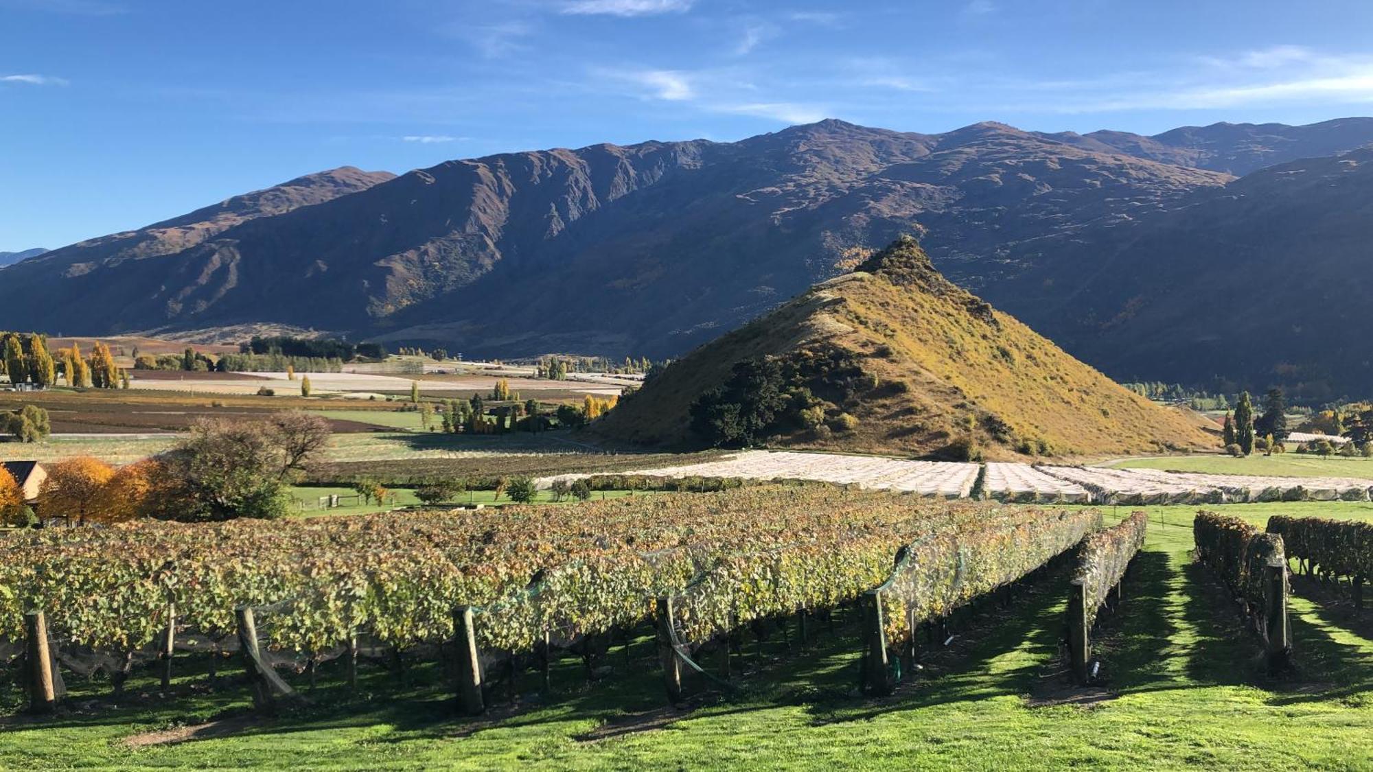 Mt Rosa Lodge Boutique Vineyard Accommodation Wanaka Extérieur photo