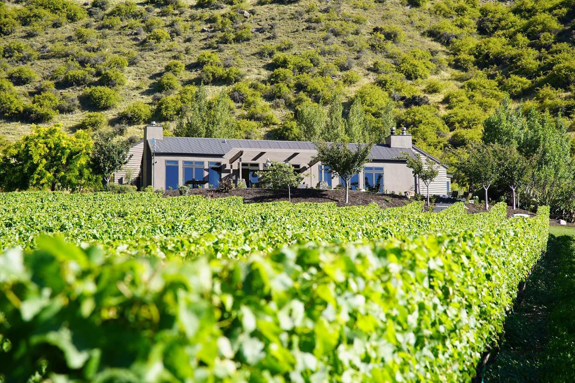 Mt Rosa Lodge Boutique Vineyard Accommodation Wanaka Extérieur photo